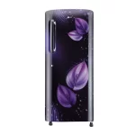 LG 235L 3 Star Direct-Cool Single Door Refrigerator Purple Victoria (GL-B241APVD)