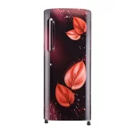 LG 235L 3 Star Direct-Cool Single Door Refrigerator Scarlet Victoria (GL-B241ASVD)